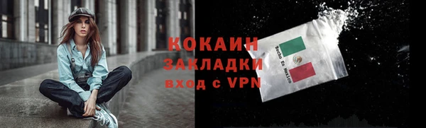 прущие грибы Навашино