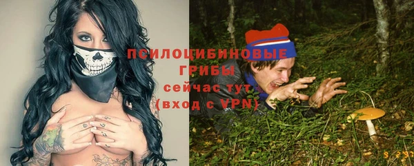 амф Нефтекумск